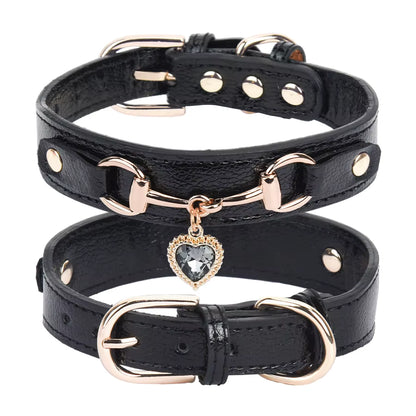 Padded and Comfortable PU Leather Dog Collar for Small Breeds