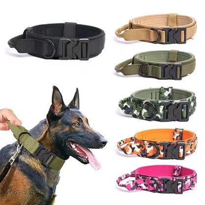 Durable Nylon Tactical Dog Collar for Secure Handling